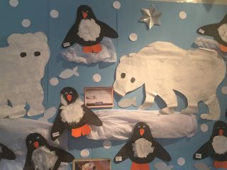 Arctic display
