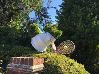 Wimbledon at BJ