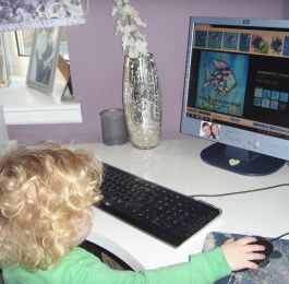Using the computer: Click Here To View Larger Image