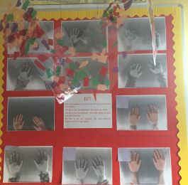ICT activities at Nursery
We linked this to our Autumn topic and focussed on ICT around the nursery.
The  Children used the laminator to make autumn collages. 
We also used the computer and the children changed the colours of the font for Autumn colours.
The Children also used the photocopier too: Click Here To View Larger Image